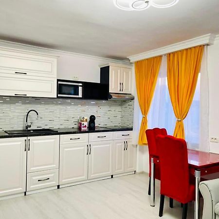 Apartament Premium Isabella アラド エクステリア 写真